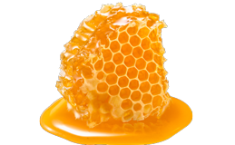 Экстракт мёда