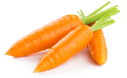 Экстракт моркови