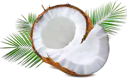 Масло кокосовое 